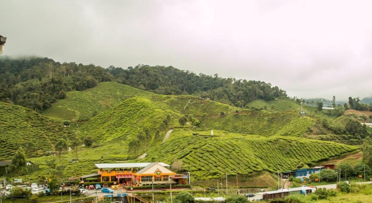 Gorgeous Sunset & Tea Plantation View-Premium Hotel Bed Kampung Kuala Terla Bagian luar foto